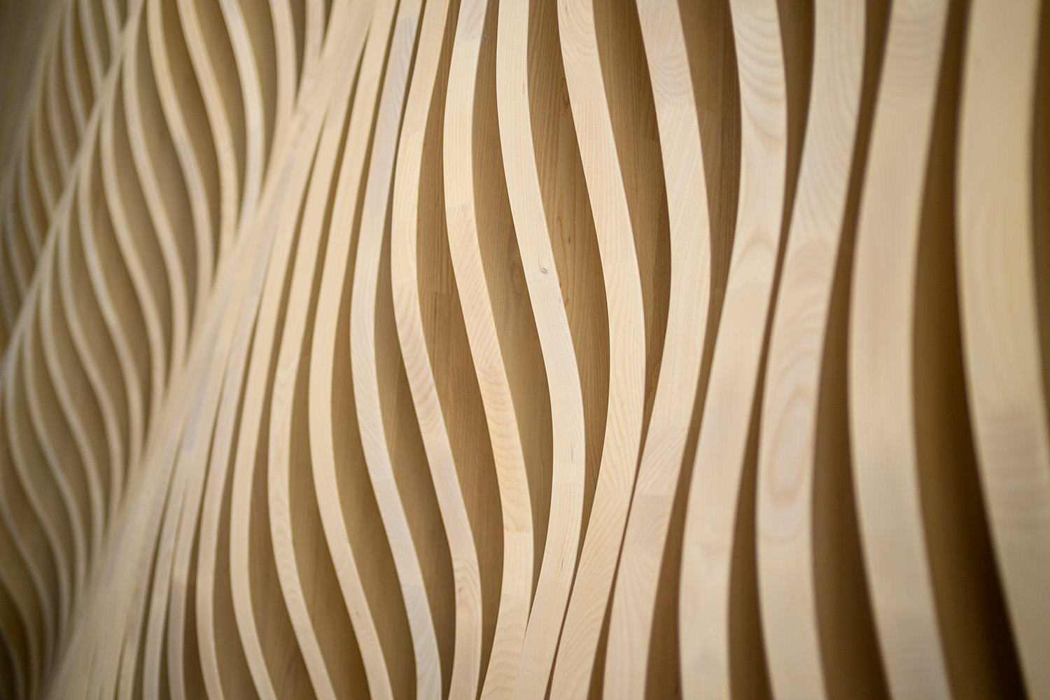 NCC_Flow_250220_CBM_1697_web